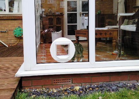 Cat flap fitted in a conservatory double glazed window, Portsmouth, Hampshire 