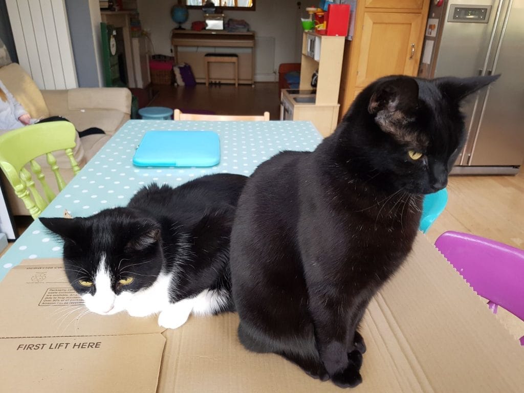 Flat pack the instruction should be somewhere