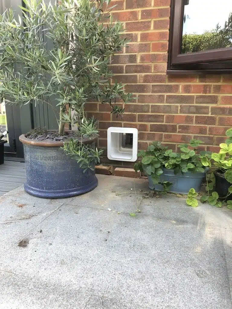 Cat Flap Fitter, Fitted it through a wall in Southend, Essex