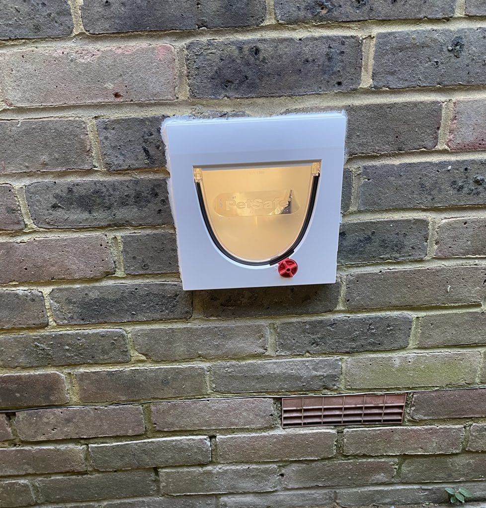 Cat Flap in Wall