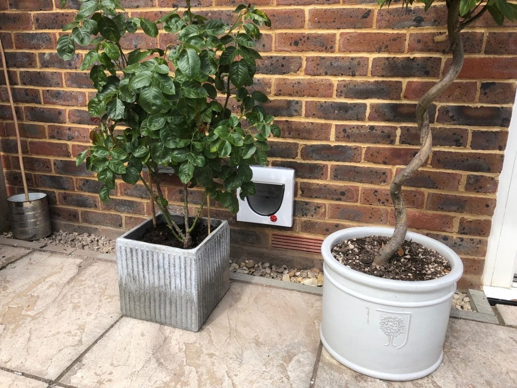 Phot showing you about cat flap fitter. installing a cat flap in a cat's playroom wall
