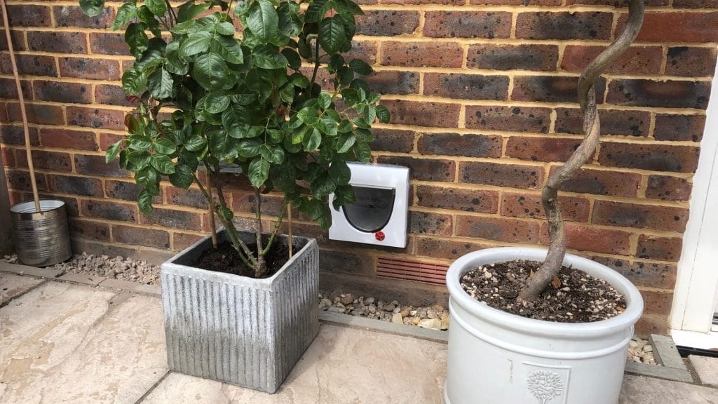 Photo About Cat Flap and dog doors installed in walls