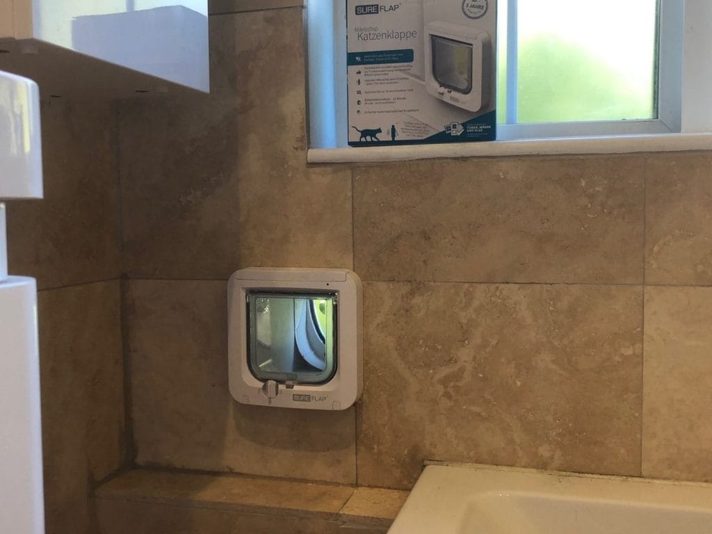 That cat flap looks perfect
