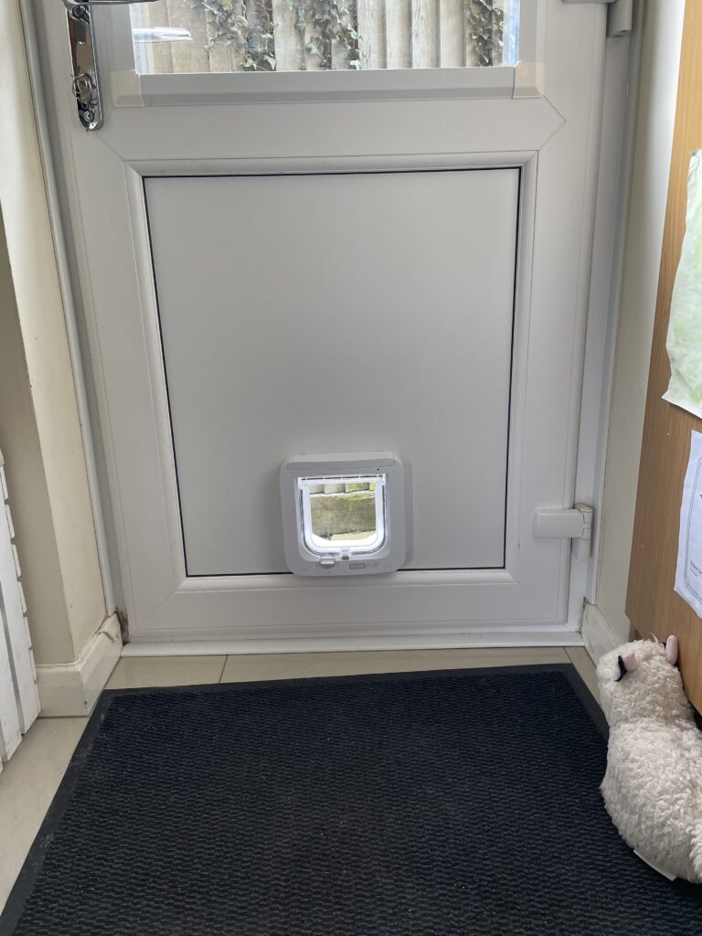 Cat flap fitted in a white uPVC panel