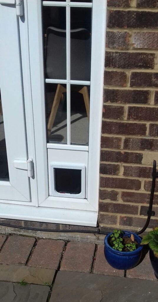 Glass with white Georgian grill and a cat flap fitted in a panel below