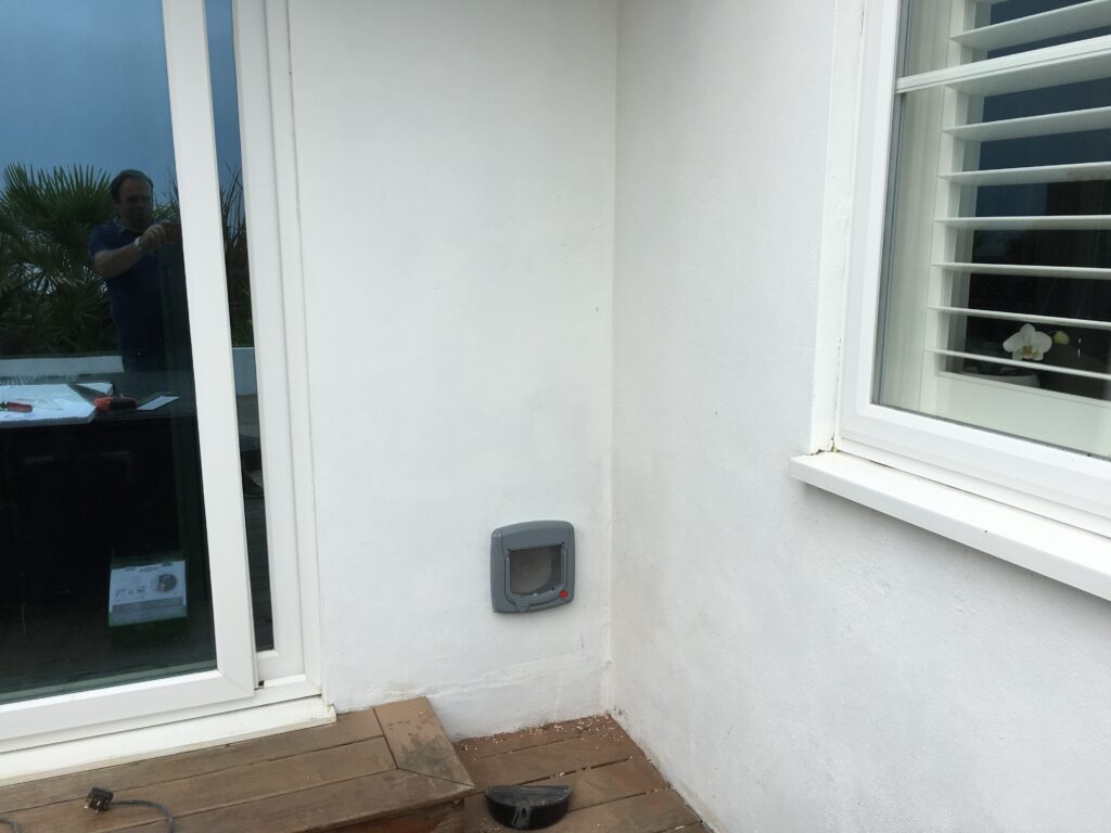 Grey cat flap in a white rendered wall