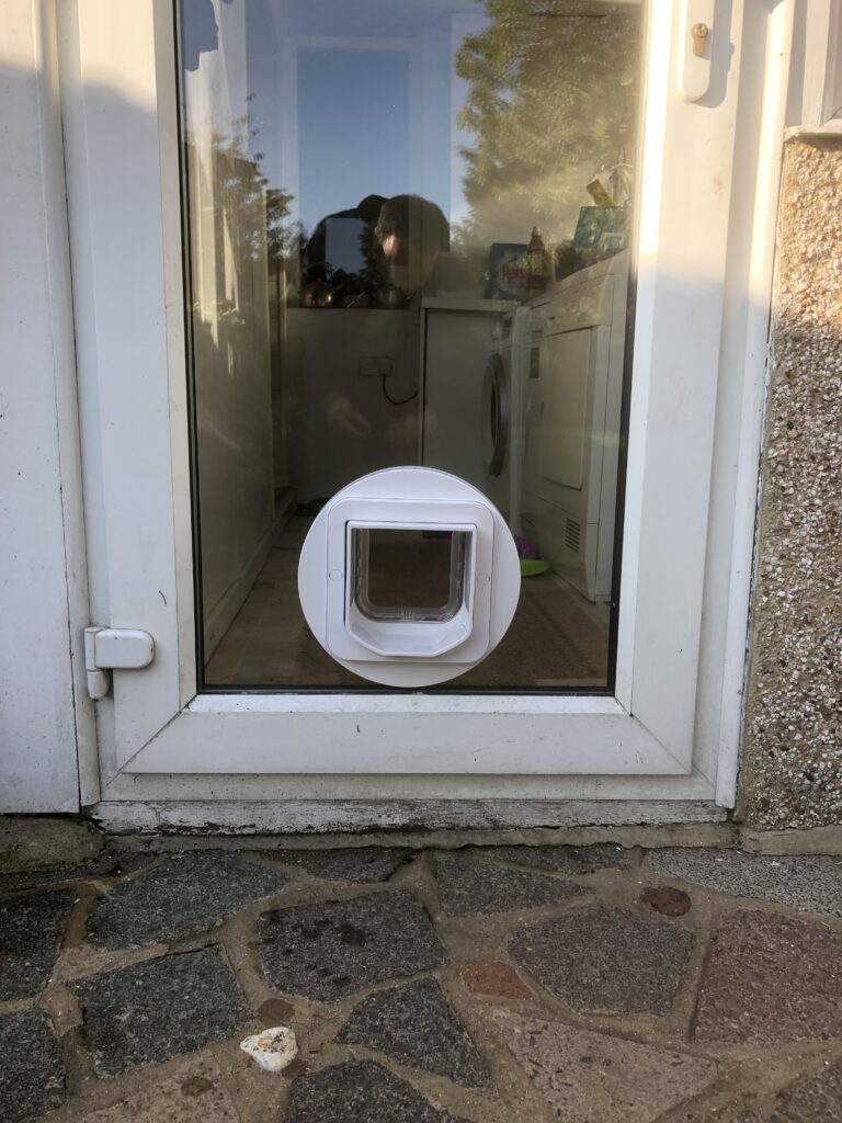 outside view of a cat flap fitted in a glass panelled door 