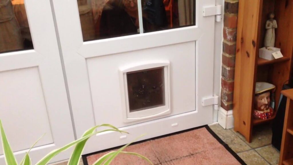 PetSafe plastic medium pet door, in a upvc panel