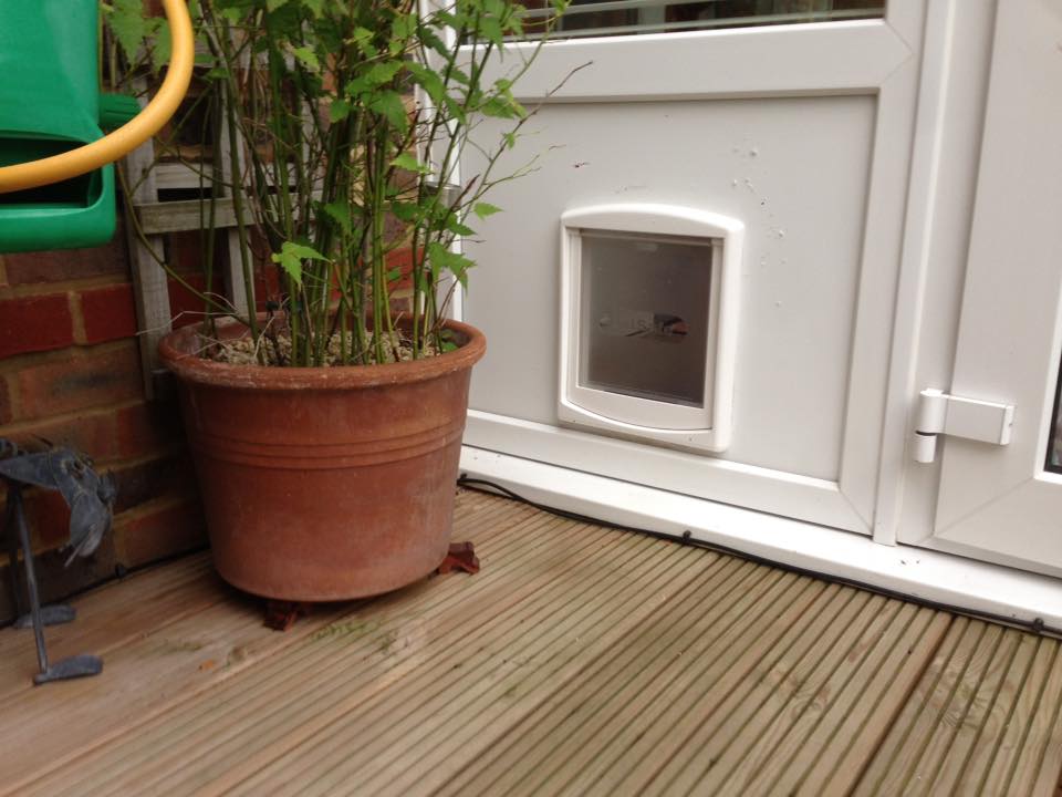 PetSafe plastic medium pet door, in a upvc panel outside view