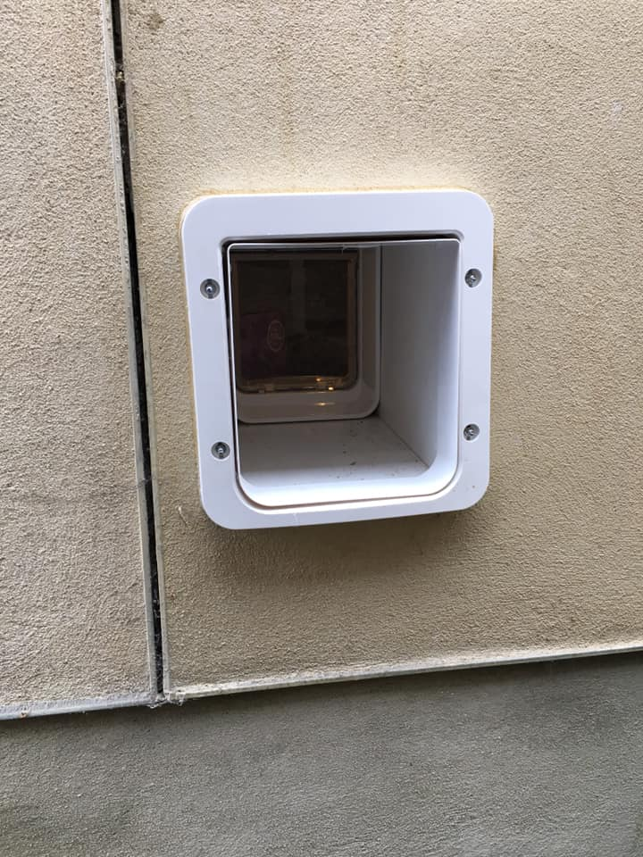 Sureflap Pet door fitted into a modern block rendered home