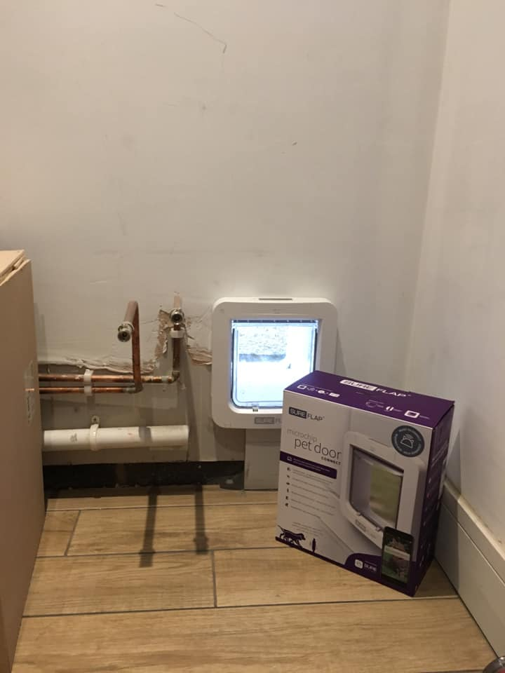 Sureflap Pet door fitted into an wall home