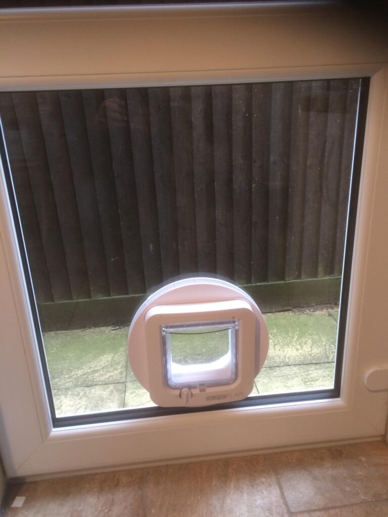 Microchip-activated cat flap in glass
