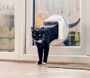 Connect cat flap
