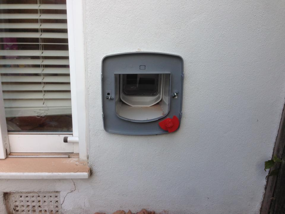 grey cat flap with red knob, fitted in weathered, brick wall