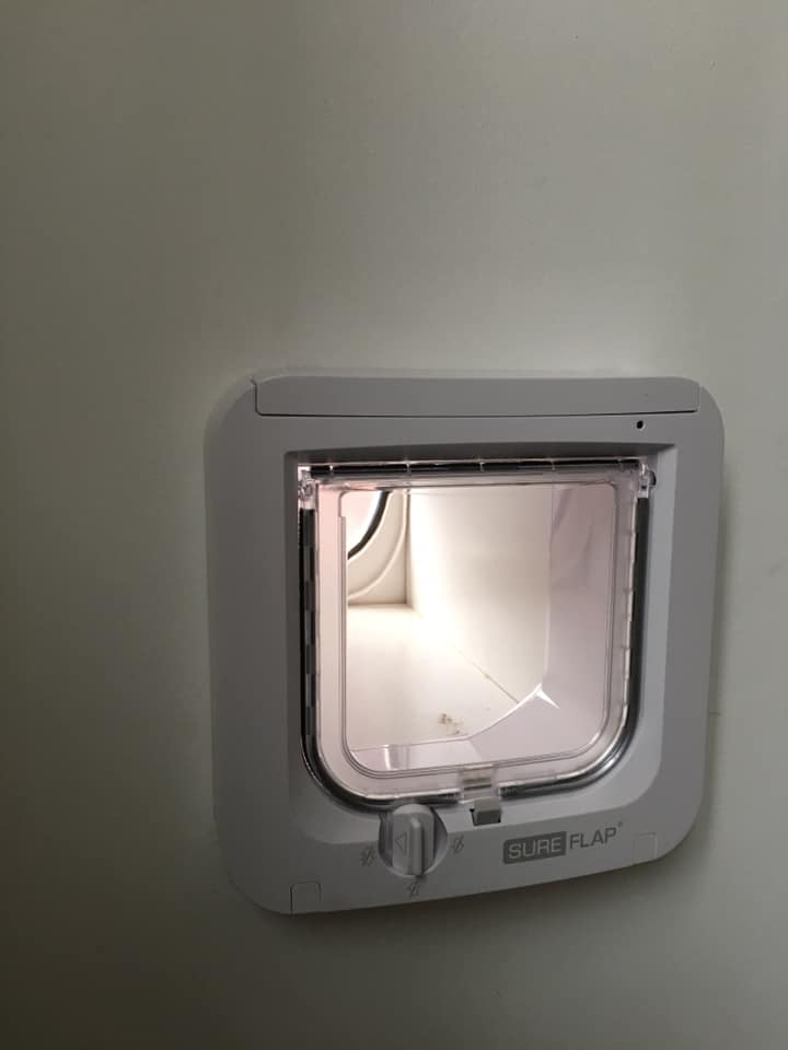 Sureflap cat flap in a wall