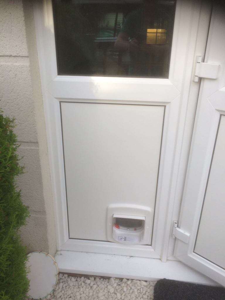 white cat flap in a white door panel