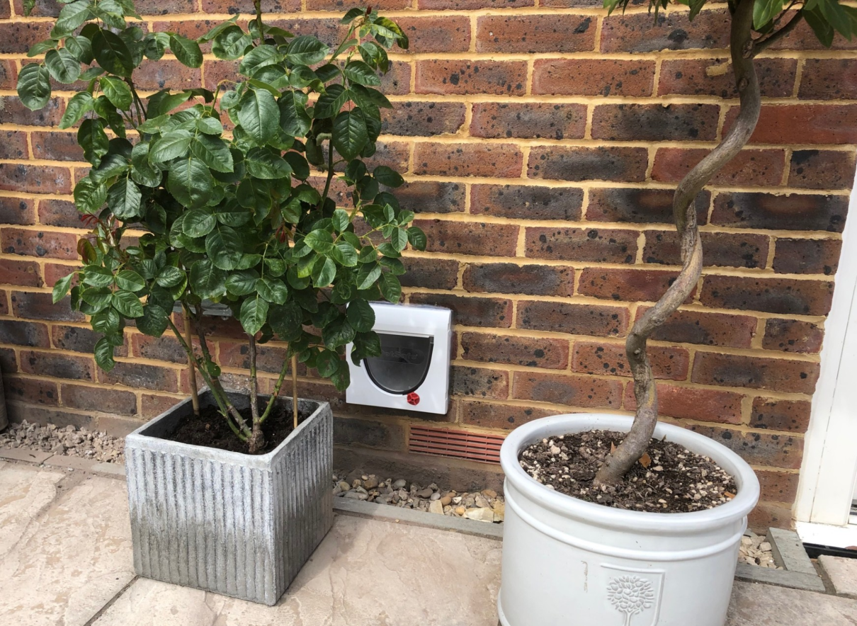 Displays two planting pots one is a square grey roman like design with an azalea bush, the other is round white Greek design, with a cork screw effect miniature tree. Next to a brick wall with a cat flap installed in wall