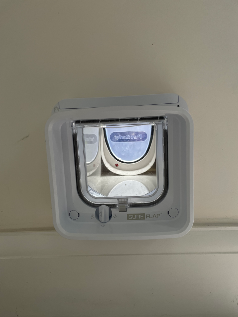 Magnolia painted internal wall, with a SureFlap Duel-Scanning cat flap 