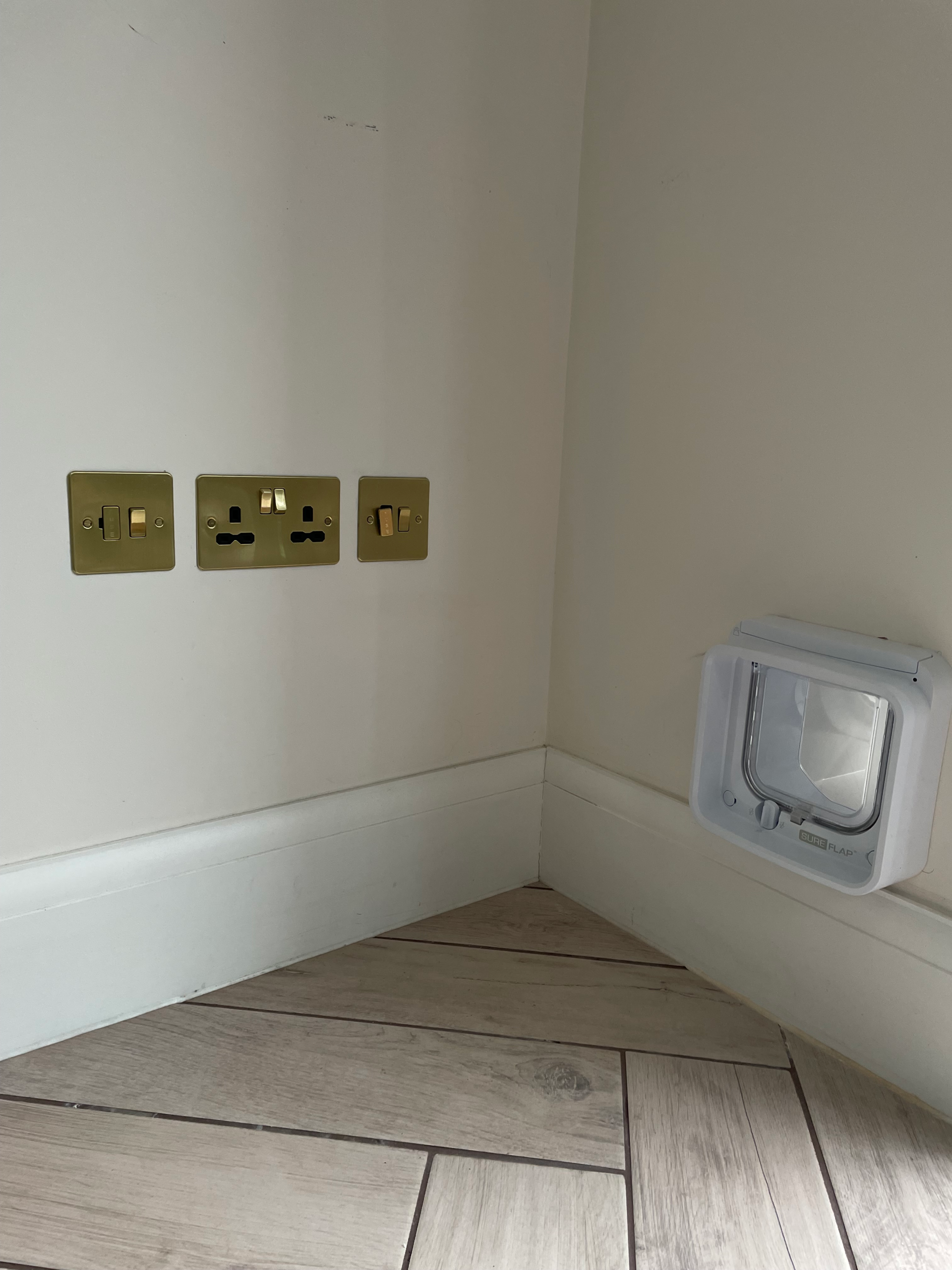 Sureflap connect cat flap in a magnolia plastered wall. with slanted wood effect flooring