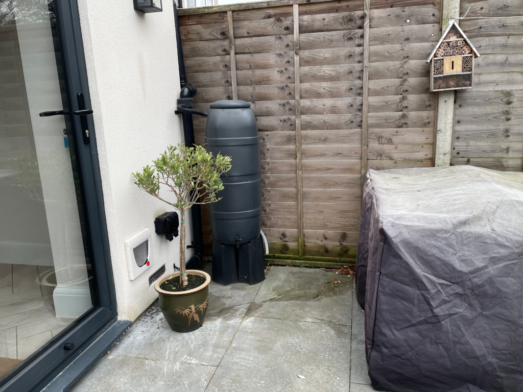 Cat flap in a outside rendered wall between a water butt and grey glazed door