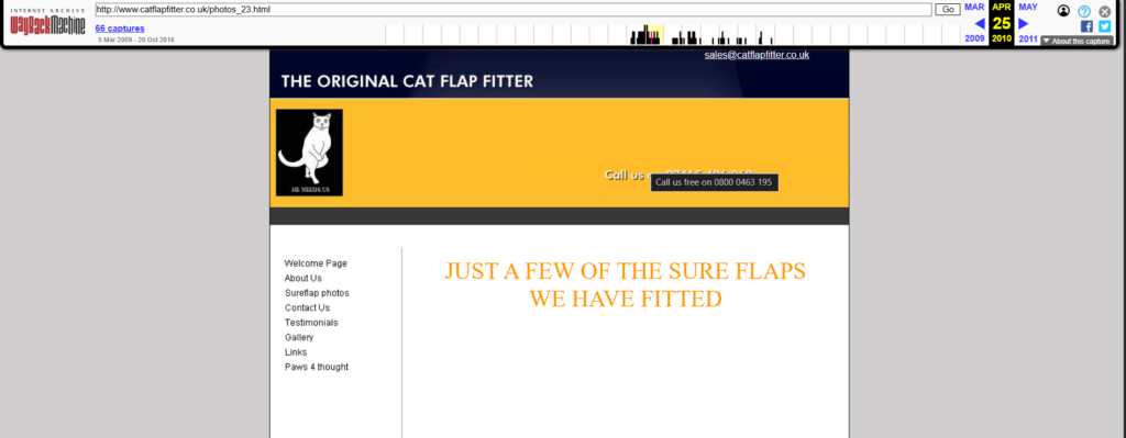 2010 cat flap webpage with yellow header and logo