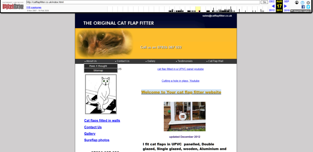 Yellow-gold header, with contact details, and ginger tom cat 2013